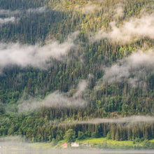 Load image into Gallery viewer, NEW 'Nordic Forest' Candle